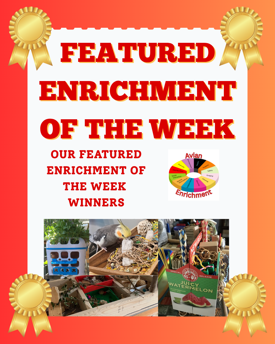 Social Media Enrichment Submission Featured Winners