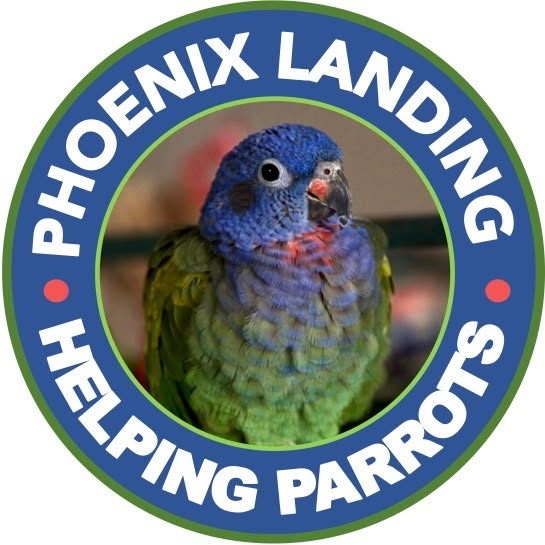 Phoenix Landing Logo