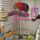 Creating the Optimal Environment for Your Bird