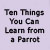 Ten Things You Can Learn from a Parrot