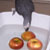 Bobbing for Apples