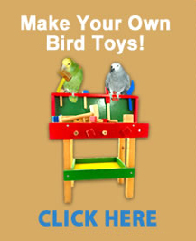 MakeYourOwnBirdToys.com