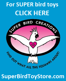 SuperBirdToyStore.com